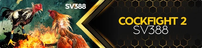 ekbet-cockfight2